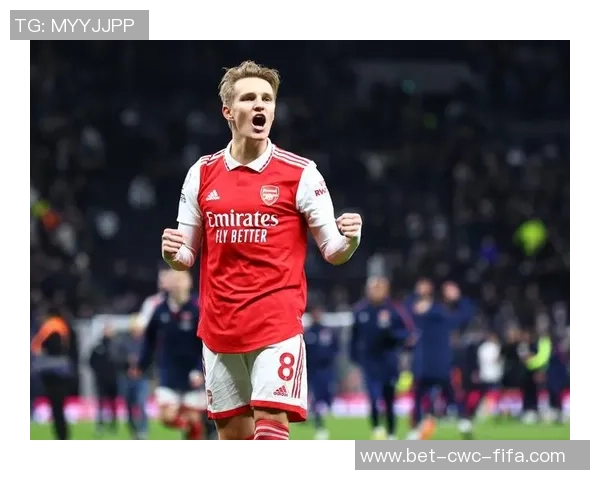 诺里奇足球队的辉煌历程与未来展望：从英超到英甲的奋斗之路